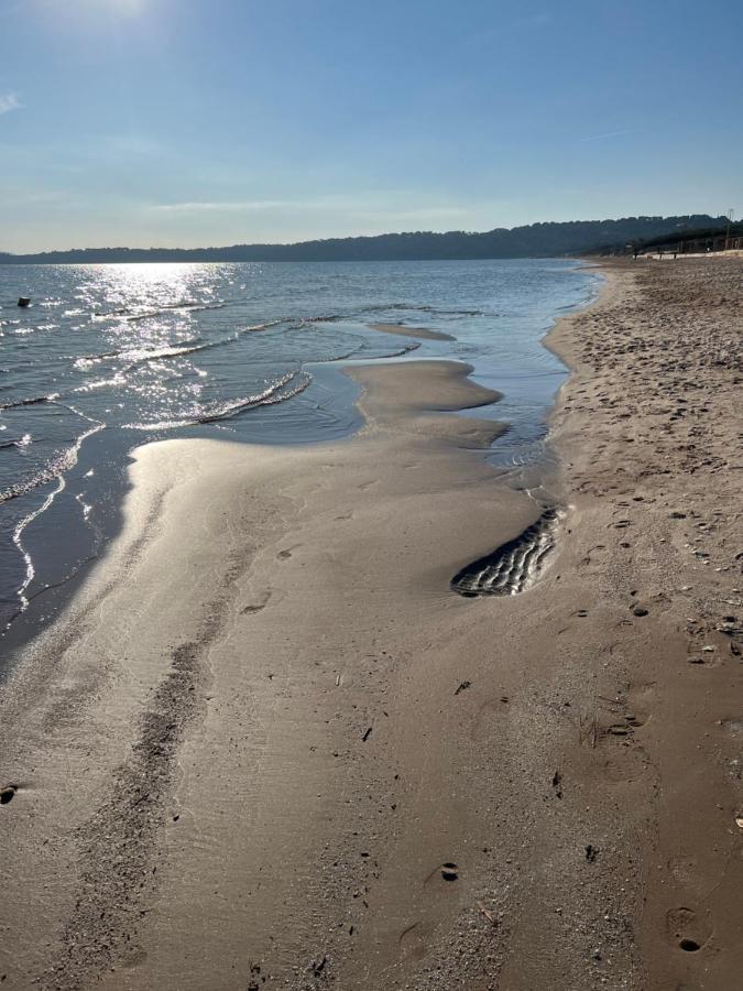 A Quelques Pas De La Mer La Capte Hyères Exteriör bild